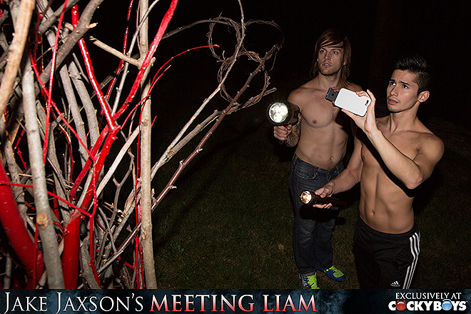 Meeting Liam (Pt. 4) Image