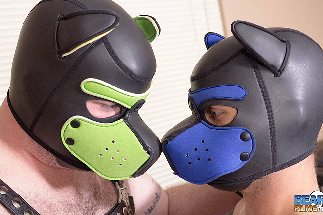 Pup Kairo, Tiger and Gabe Duval Image