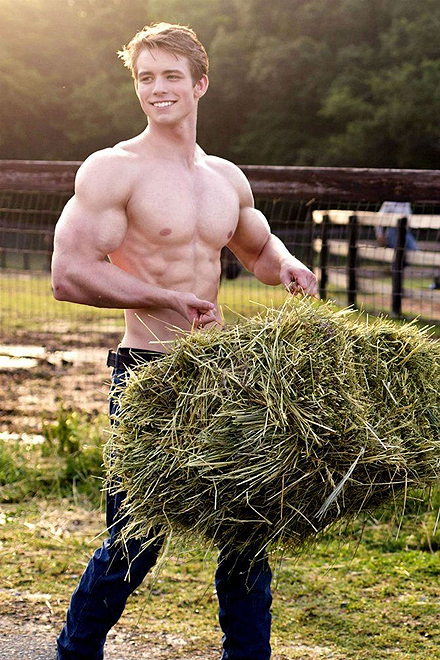 More Farm Fun Image