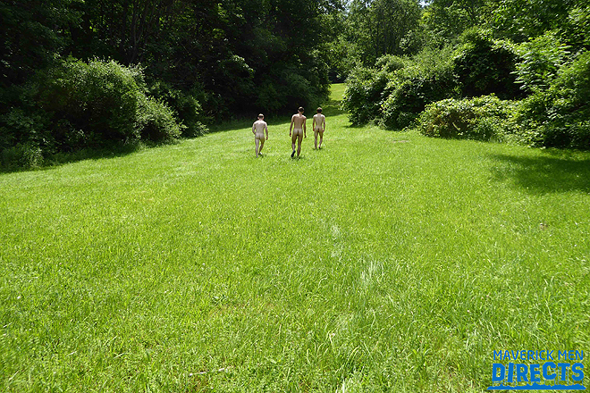 Three Little Pigs In The Woods Image