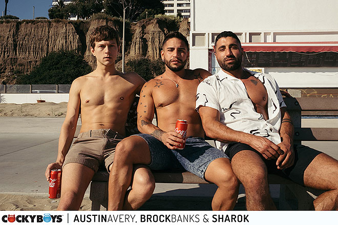 Austin, Brock & Sharok Image