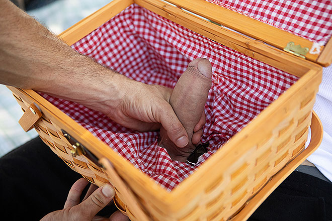 Dick At The Picnic Image